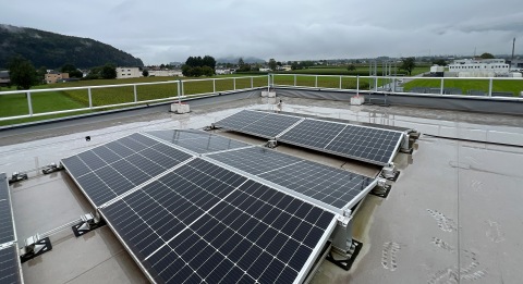 <div>IMG_1115.jpg</div>